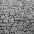 What Causes Alligator Cracking in Asphalt?